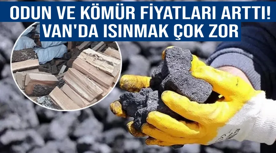 Odun ve kömür fiyatları arttı! Van