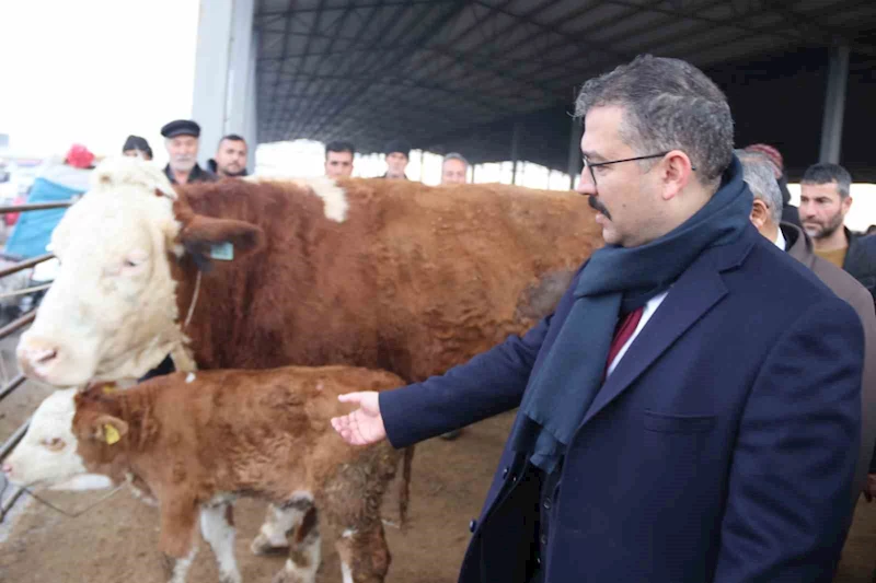 Şap hastalığından dolayı kapalı olan Iğdır Hayvan Borsası yeniden kullanıma açıldı
