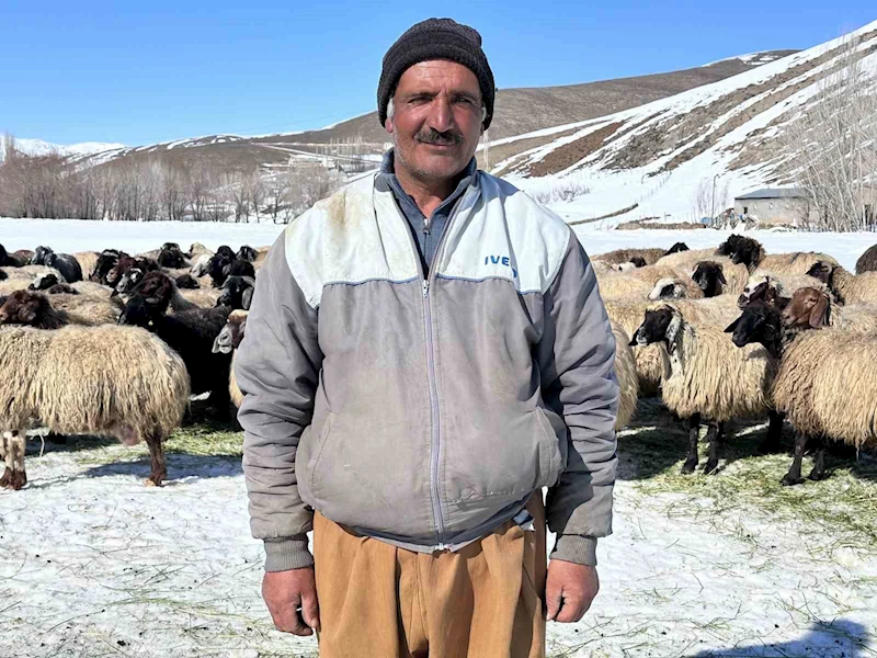 Yüksekova’da ithal çoban dönemi
