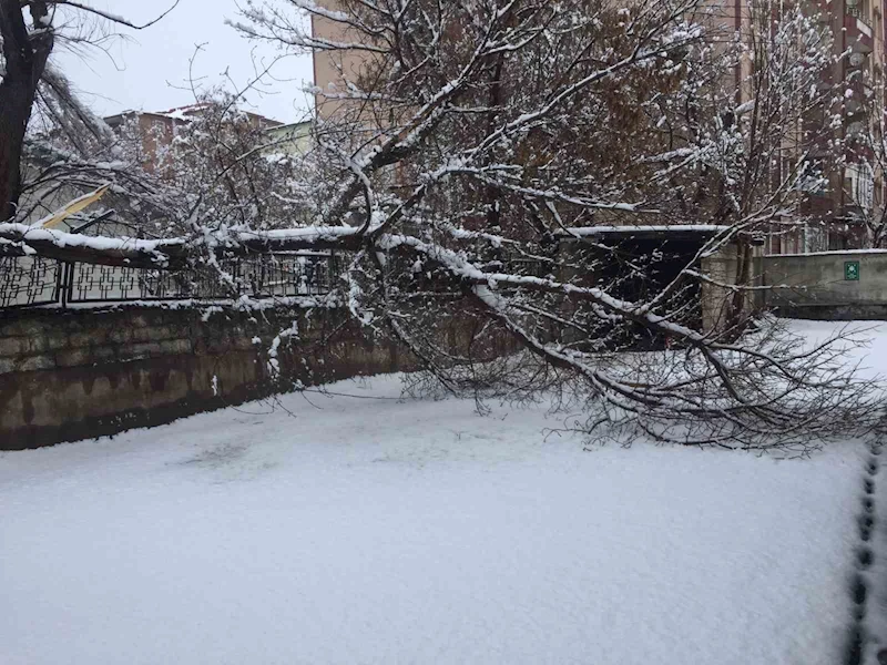 Ağrı’da bahar havası yerini kara bıraktı
