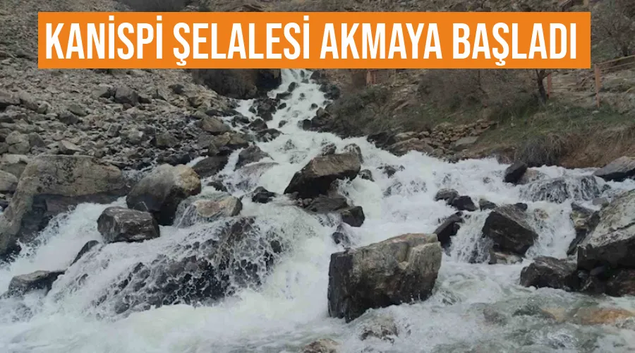 Van Kanispi Şelalesi akmaya başladı