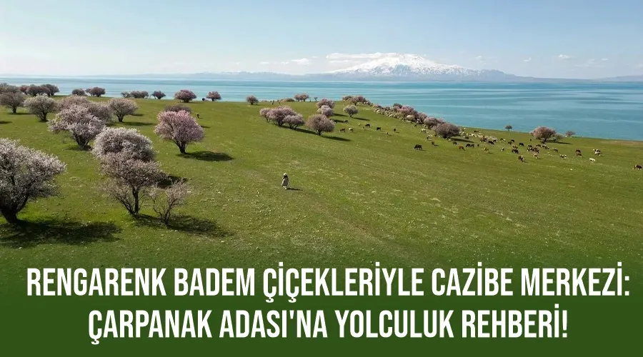 Rengarenk Badem Çiçekleriyle Cazibe Merkezi: Çarpanak Adası