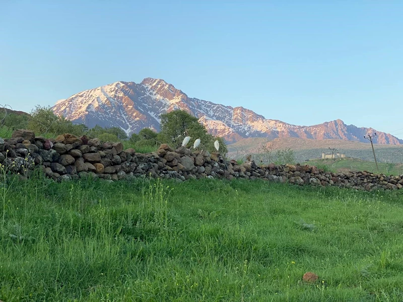 Derecik’te sığır balıkçılı görüldü
