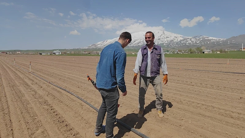 Adilcevaz’da şeker pancarı ekimine başlandı
