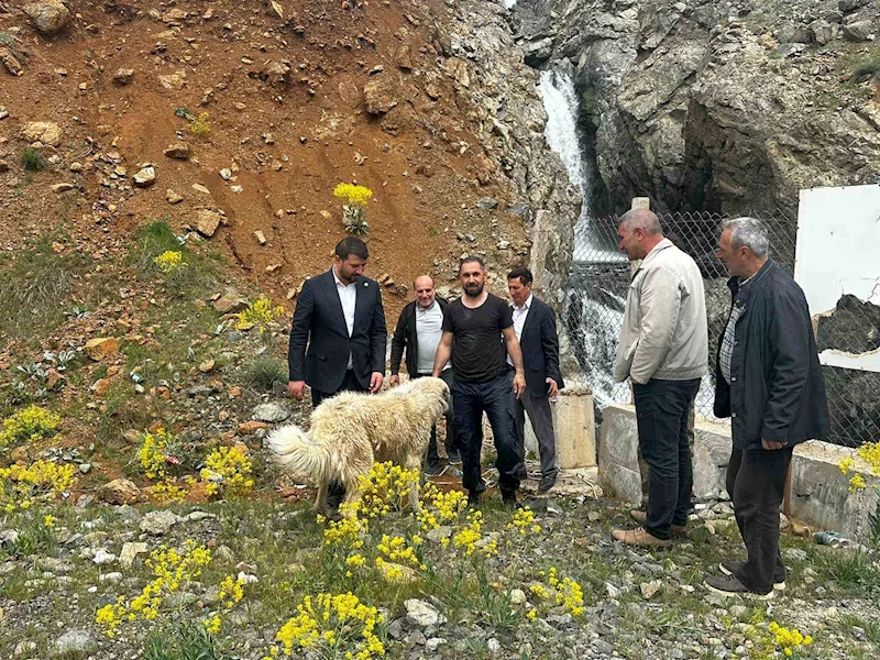 İhbar kendisine geldi, belediye başkanı köpek kurtarma operasyonuna katıldı
