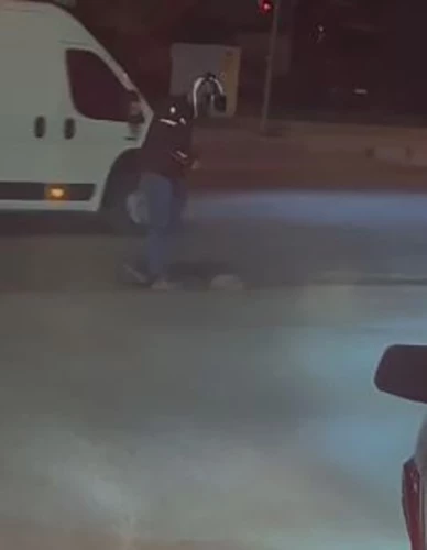 Elazığ’da duyarlı bir vatandaş, yola çıkan kirpiyi ezilmekten kurtardı
