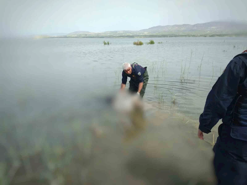 Kayıp olarak aranan şahsın cesedi barajda bulundu
