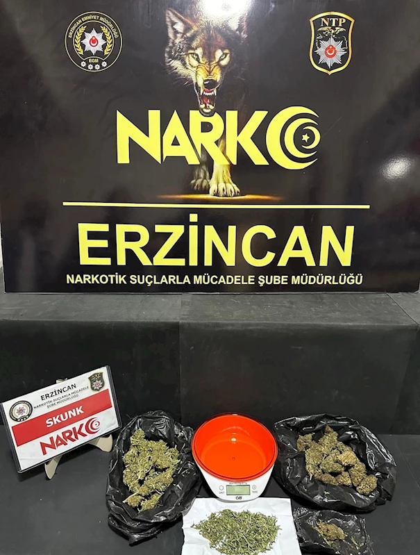 Erzincan’da 169,86 gram skunk ele geçirildi
