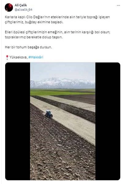 Vali Ali Çelik: 