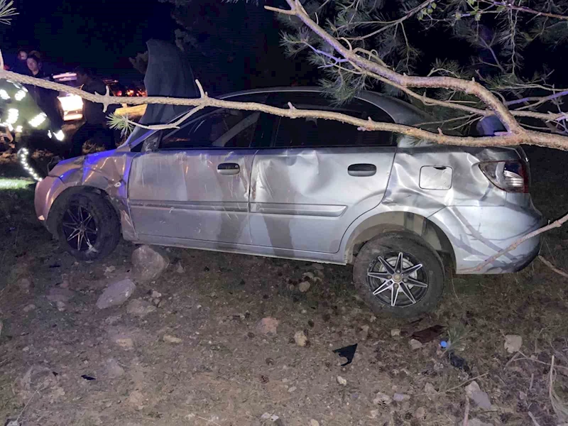 Yoldan çıkan otomobilin sürücüsü yaralandı
