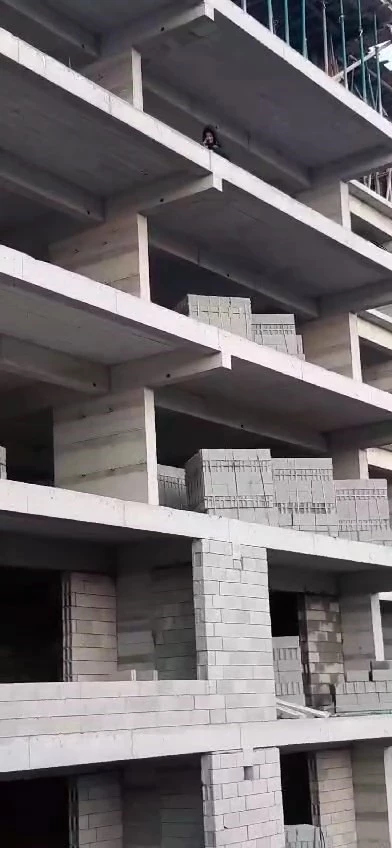 İnşaatın 5’inci katına çıkan kadını ekipler ikna etti
