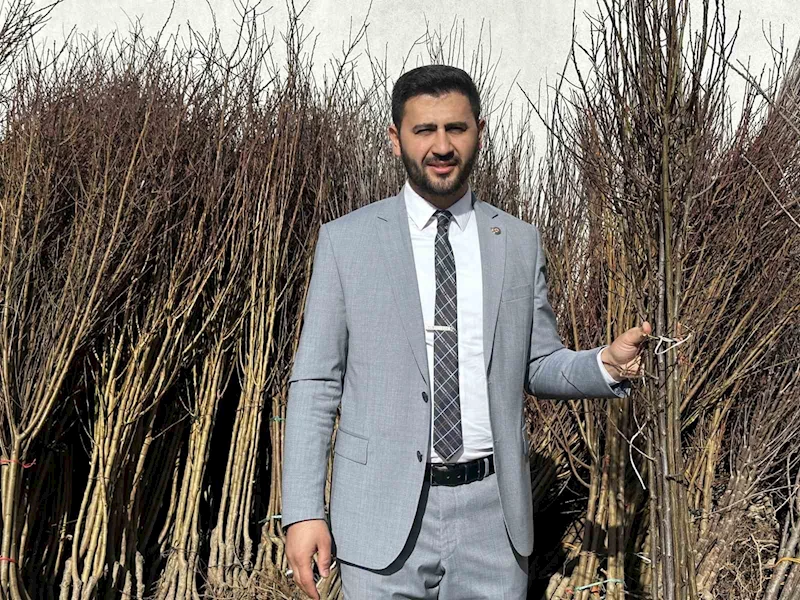 Yüksekova’da çiftçilere meyve fidanı desteği
