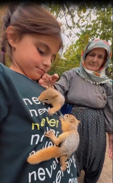 Hakkarili aileden yavru sincaplara şefkat eli
