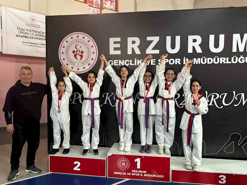 İspirli sporcular bölge Taekwondo müsabakalarına damga vurdu
