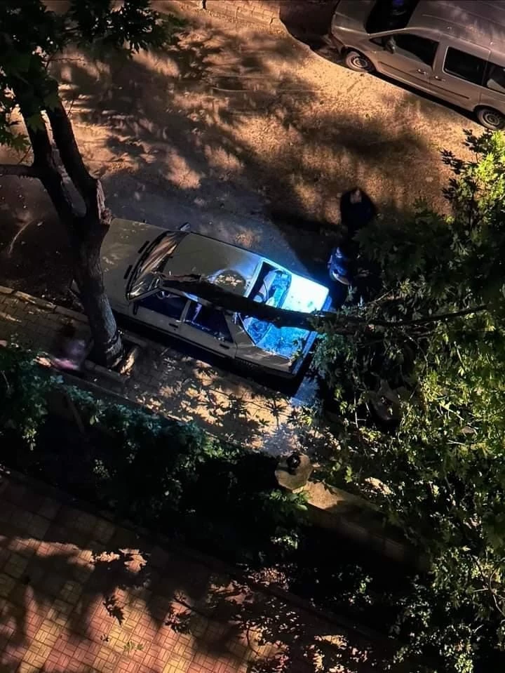 Elazığ’da fırtınanın etkisiyle araçların üzerine ağaç devrildi
