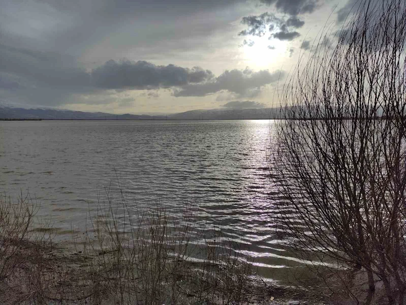 Ardahan’da Kura Nehri taştı, sahilleri aratmayan görüntüler ortaya çıktı
