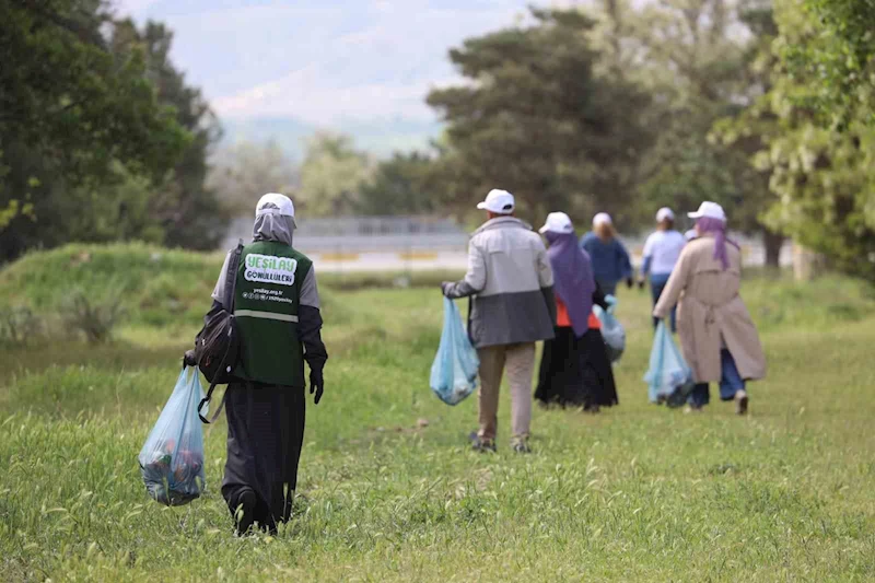 Yangına karşı ormanları temizlediler
