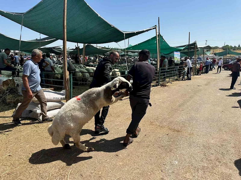 Bayramın ilk gününde kurban pazarında hareketlilik
