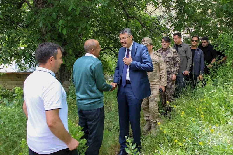 Vali Çelik: 
