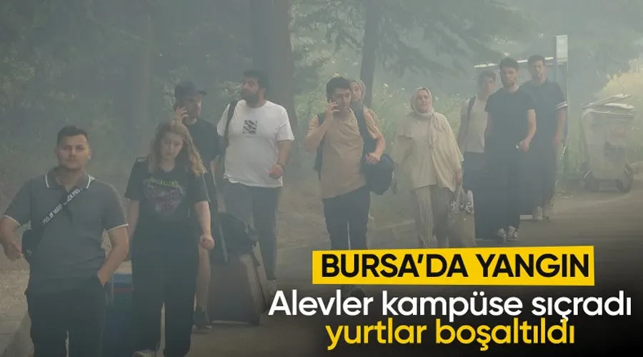 Bursa