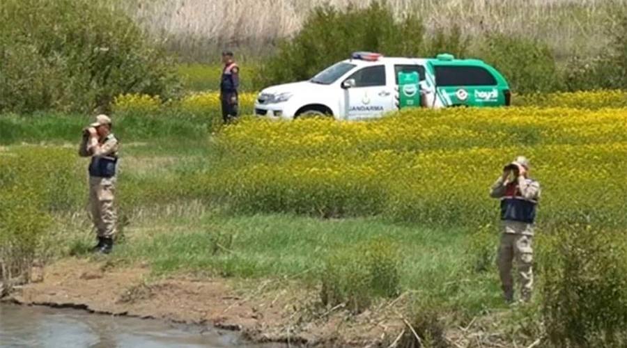 Van