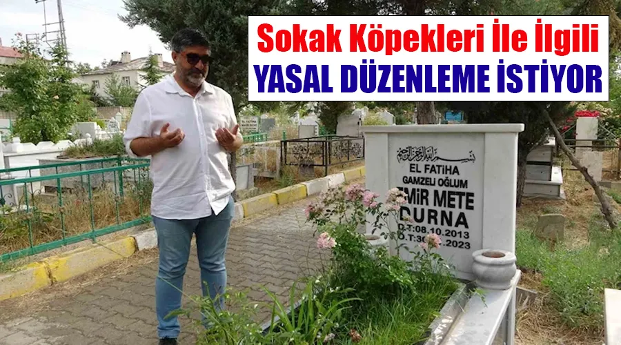 Van’da köpek saldırısında ölen minik Mete’nin ailesi ‘yasal düzenleme’ istiyor
