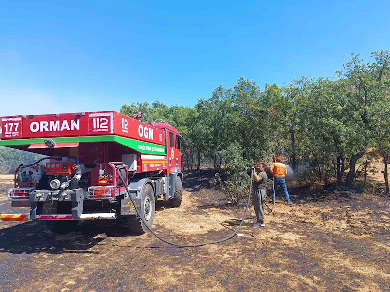Bingöl’de 6 bölgede çıkan yangınlar söndürüldü
