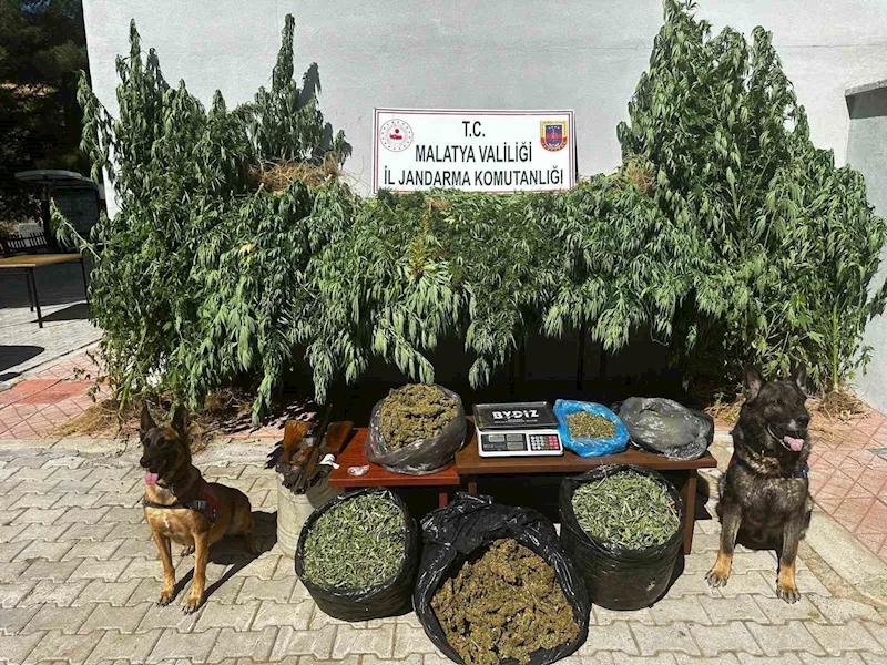 Malatya’da 11,5 kilogram kubar esrar ele geçirildi: 2 gözaltı
