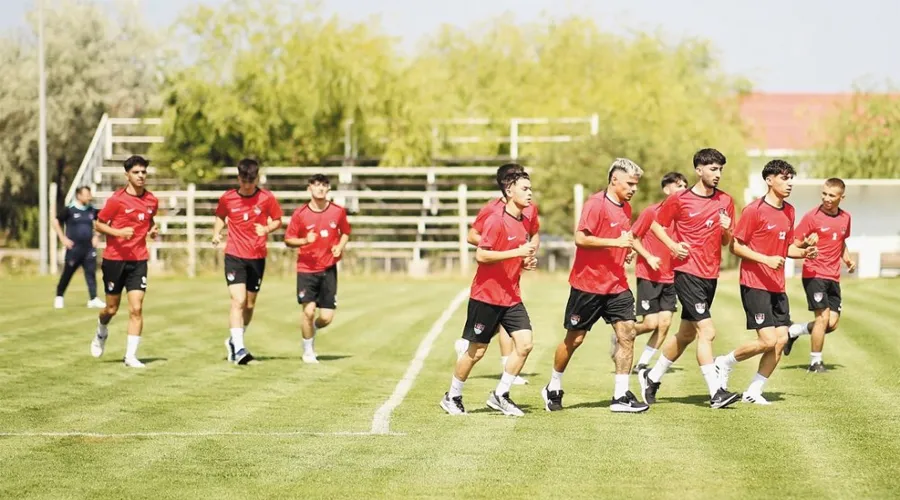 Vanspor