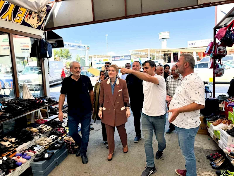 Milletvekili Ölmeztoprak: 