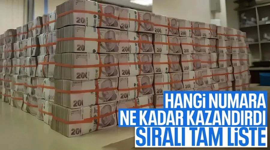 2025 Milli Piyango Yılbaşı Çekilişi: 600 Milyon TL Büyük İkramiye Sahiplerini Buldu, İşte Kazanan Numaralar!