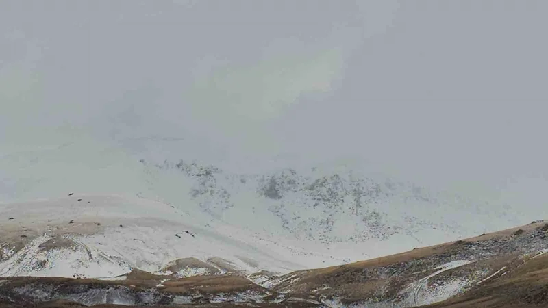 Süphan Dağı beyaza büründü
