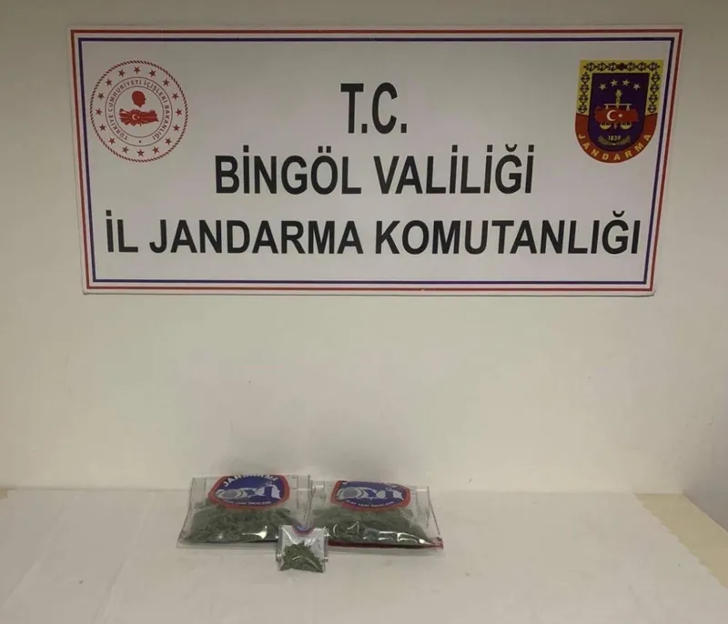 Bingöl’de uyuşturucu ve kaçakçılıkla mücadele: 34 gözaltı
