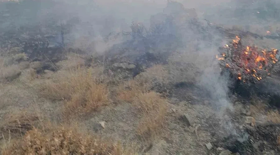 Başkale’de anız yangını