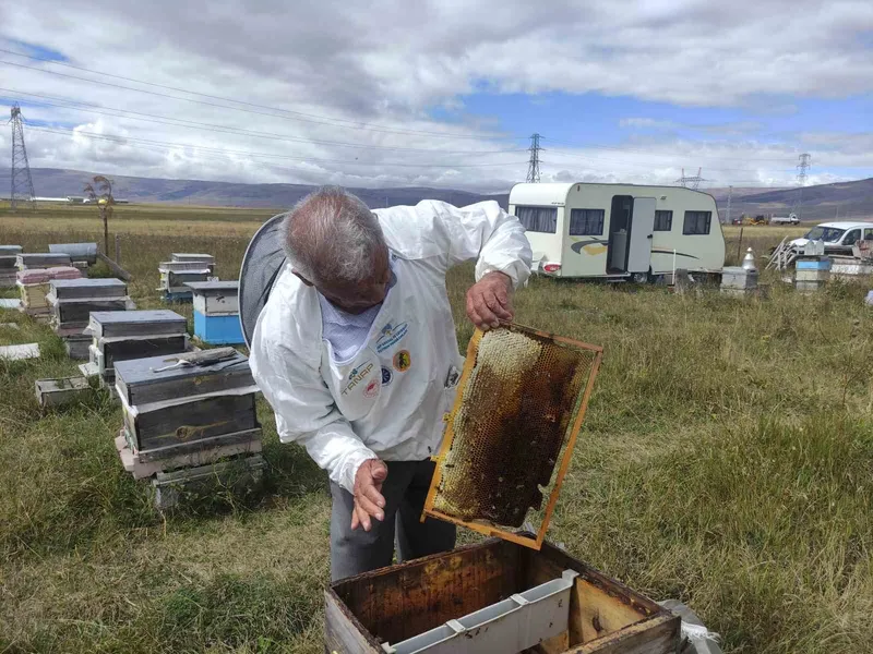 Arıcılar Birliği Başkanı Evliyaoğlu: 