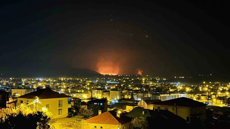 Yüksekova’da kuş cenneti olan Nehil Sazlığı yanıyor: Yangın tüm ilçeden görüldü
