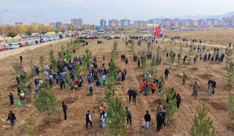 Muş’ta 20 bin fidan toprakla buluşturuldu
