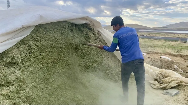 Ağrı’da besiciler kış hazırlıklarına başladı
