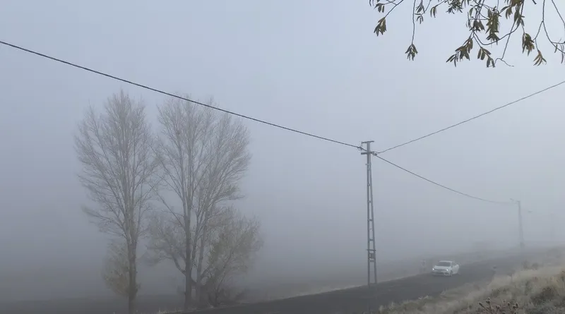 Patnos’ta yoğun sis yaşamı olumsuz etkiledi
