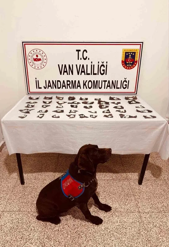 Kapsülün içinden ilaç yerine uyuşturucu çıktı