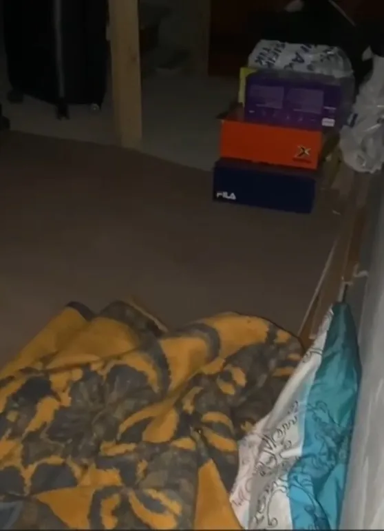 Van’da 12,5 yıl kesinleşmiş hapis cezası bulunan müdür gizli bölmede yakalandı