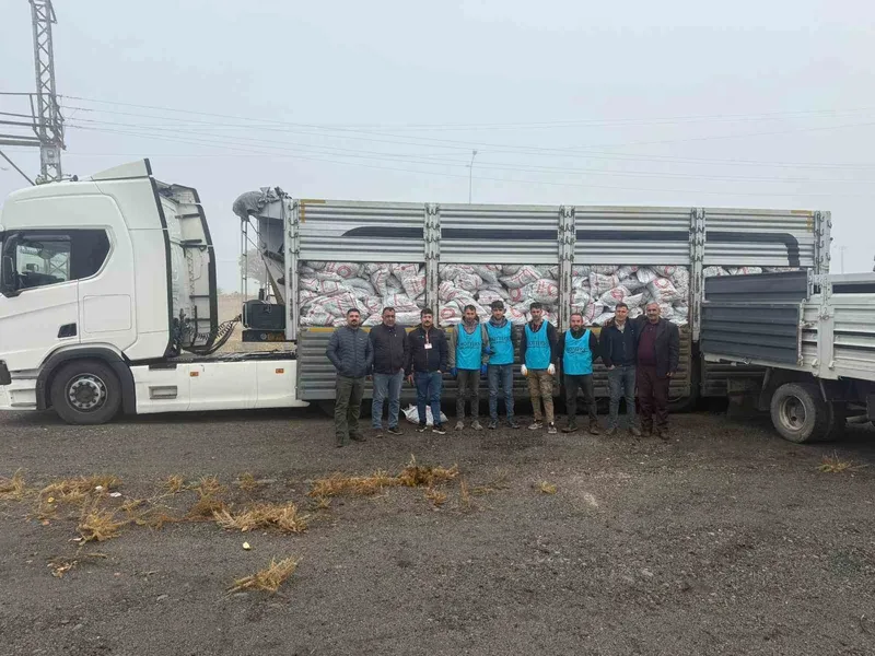 Patnos’ta on bin haneye kömür desteği
