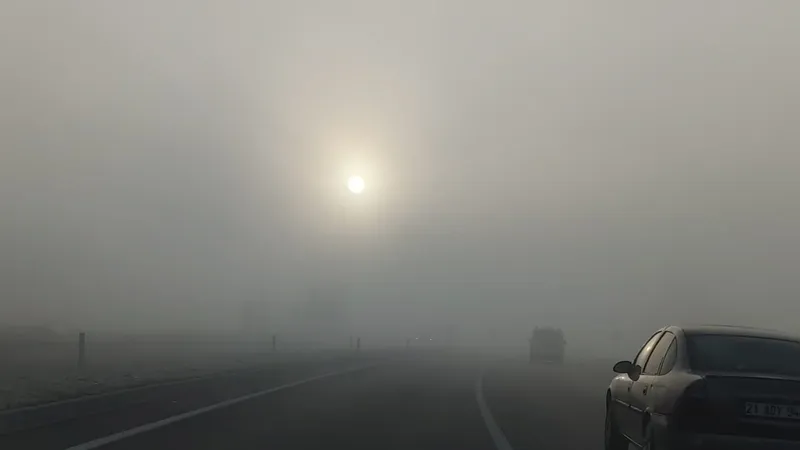Bingöl’de yoğun sis: Görüş mesafesi 10 metreye düştü

