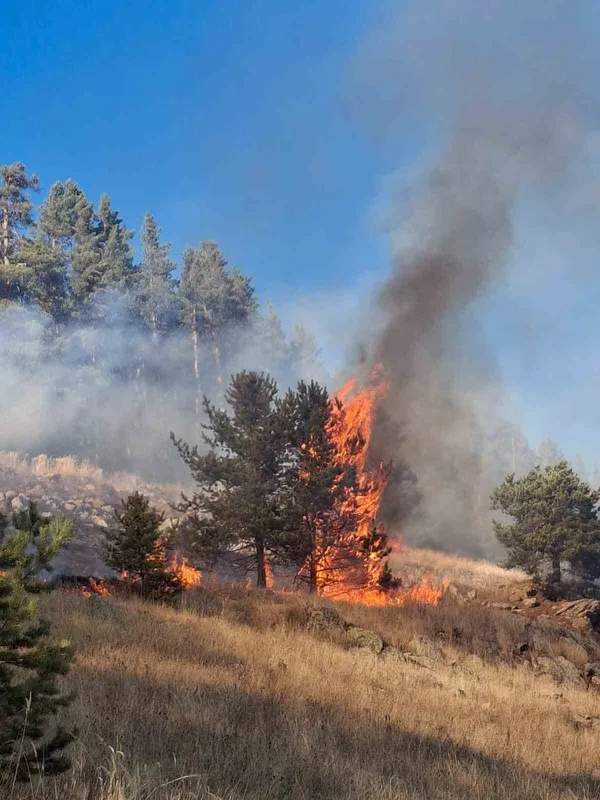 Erzurum’da orman yangını
