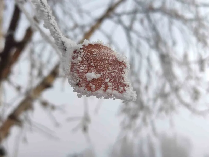 Hava sıcaklığının eksi 14,6 dereceye düştüğü Göle buz tuttu
