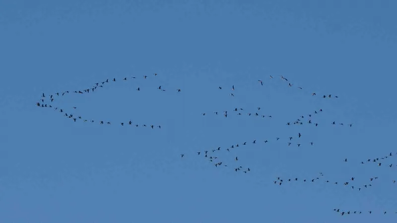Zorlu göçün durağı Erçek Gölü