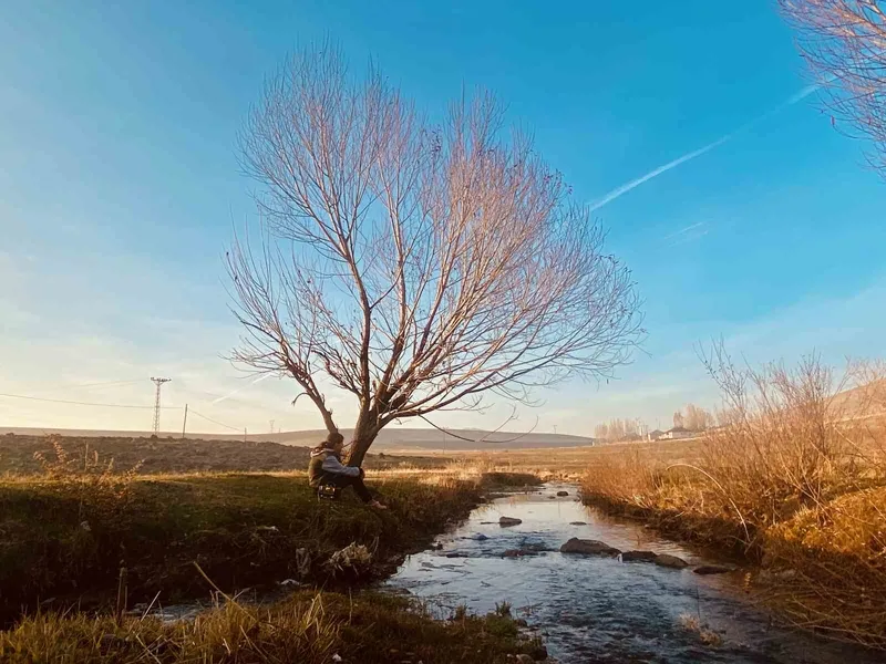 Sonbaharda sararan yapraklar görsel şölen oluşturdu
