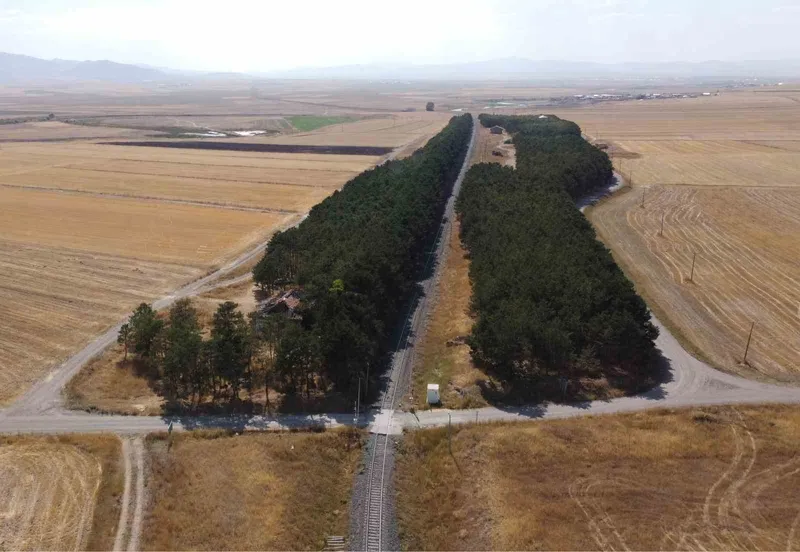 Kars’ta bozkırın ortasındaki vaha havadan görüntülendi
