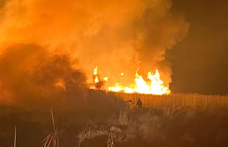 Hakkari’de kuş cennetinde yangın
