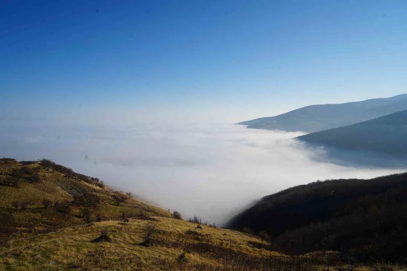 Muş’ta sis ovayı kapladı: Kartpostallık manzaralar oluştu
